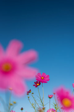 メルヘン Images Browse 19 599 Stock Photos Vectors And Video Adobe Stock