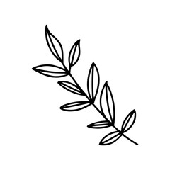 Flower Botanical Floral Detail Outline Illustration