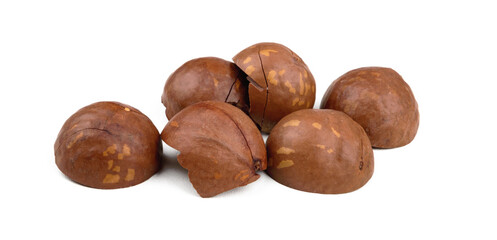 a handful of macadamia nut shells on white background isolate