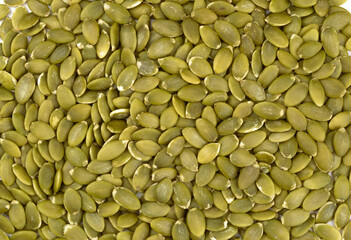 pumpkin seed isolate on a white background