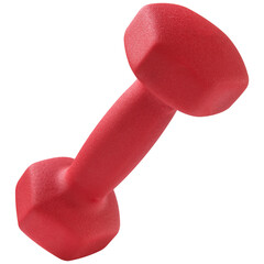 One red ganield on a white background, one edge of the dumbbell is raised, isolate