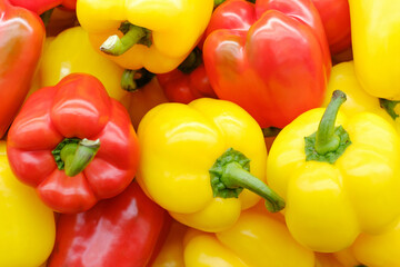 A fresh colorful pepper close-up, natural background and texture.