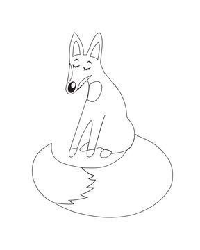 Fox. The contour image of an animal on a white background. Vector illustration.300 dpi.