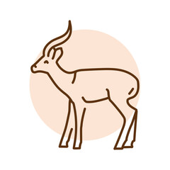 Gazelle color line illustration. Animals of Australia