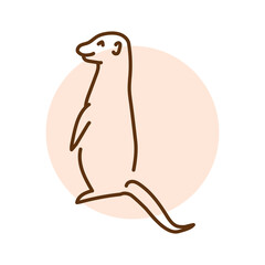 Meerkat color line illustration. Animals of Australia.