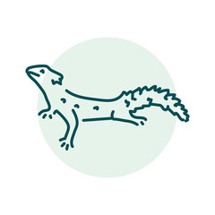Lizard color line illustration. Animals of Australia.