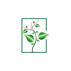 flower leaf icon design natural vector illustration