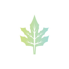 leaf icon natural illustration vector design element