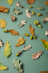 Autumn leaves aok flat lay composition thanksgiving green and brown