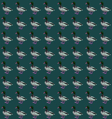 pattern with ducks