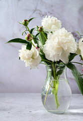 Peonies in a vase. Stylish white peonies in the hands of a florist. The florist girl collected a bouquet. Pruning spring white flowers. A gift for the holiday. Fresh floral