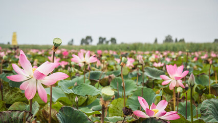 Khao Sam Roi Yot National Park in Thailand