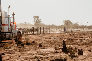 Farmer checks stock in the outback.