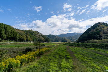 Fototapeta na wymiar 京都の田舎道