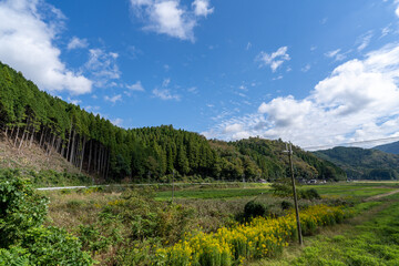 Naklejka na ściany i meble 京都の田舎道