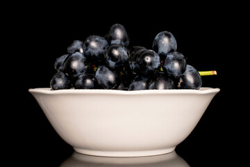 agriculture, autumn, background, berry, black, blue, blue grape, branch, bunch, close-up, closeup, dark, dark grape, dessert, diet, dieting, food, fresh, freshness, fruit, garden, grap