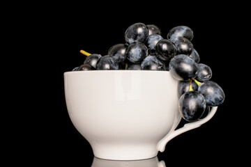 One sprig of juicy black grapes in a white ceramic cup, macro, isolated on black background.