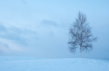 Fototapeta na wymiar 冬の美瑛の丘 北海道美瑛町の観光イメージ