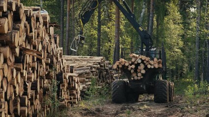 A Crane is picking wood material from the logging pile on the ground. Placing the wooden materials onto the truck into the logging stack. Using loggings as the material for woodworking. Forestry.