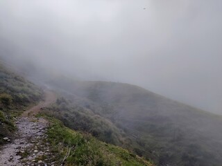 Nebel beim Wanderweg