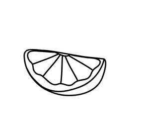 Citrus slice, doodle 