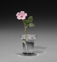 Flower Study of a Wild Rose. This delicate flower study resembles a stem of wild rose. 