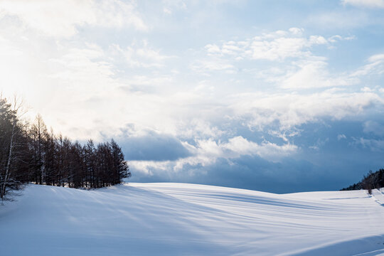 冬の美瑛の丘  北海道美瑛町の観光イメージ