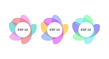 Obraz premium Set of frames from flowers, sale banner