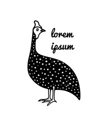 Vector card with hand drawn helmeted guinea fowl made in cartoon style. Ink drawing, graphic illustration, heavy contour. Beautiful design elements