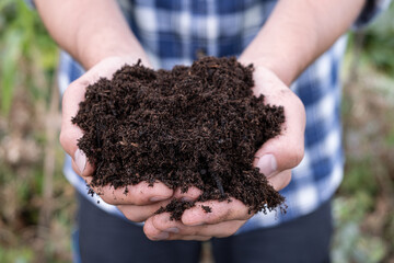 Hand full Of Rich Brown Soil compost. A man holds in dirty hands with humus for planting. Eco...