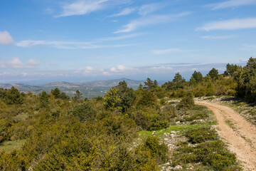 Naklejka premium Chemin de randonnée du Mont Saint-Baudille, du côté du causse du Larzac
