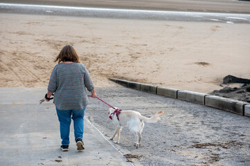 Rear view of mature woman with golden retriever dog walking towards a sandy beach 