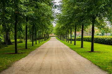 path in the park