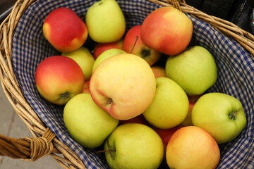 apples in a basket