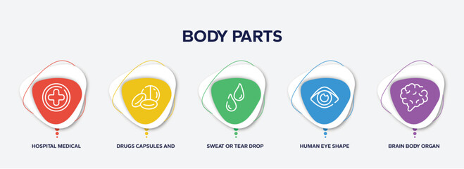 infographic element template with body parts outline icons such as hospital medical, drugs capsules and pills, sweat or tear drop, human eye shape, brain body organ vector.