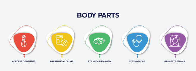 infographic element template with body parts outline icons such as forceps of dentist tools, phareutical drugs, eye with enlarged pupil, stethoscope, brunette female woman long hair vector.