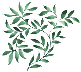 Watercolor green ornate branch