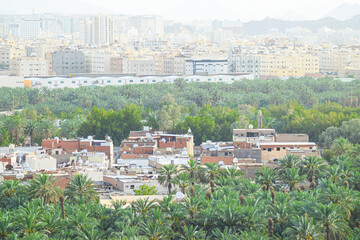 panorama of Medina city