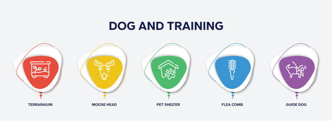 infographic element template with dog and training outline icons such as terraraium, moose head, pet shelter, flea comb, guide dog vector.
