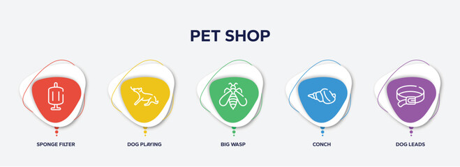 infographic element template with pet shop outline icons such as sponge filter, dog playing, big wasp, conch, dog leads vector.