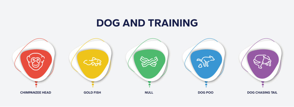 infographic element template with dog and training outline icons such as chimpanzee head, gold fish, null, dog poo, dog chasing tail vector.