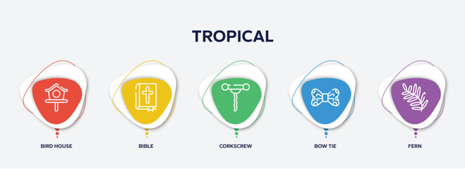 infographic element template with tropical outline icons such as bird house, bible, corkscrew, bow tie, fern vector.