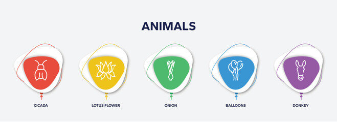 Fototapeta premium infographic element template with animals outline icons such as cicada, lotus flower, onion, balloons, donkey vector.