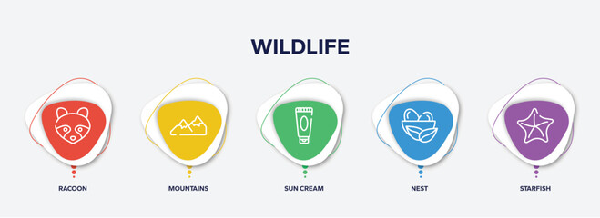 infographic element template with wildlife outline icons such as racoon, mountains, sun cream, nest, starfish vector.