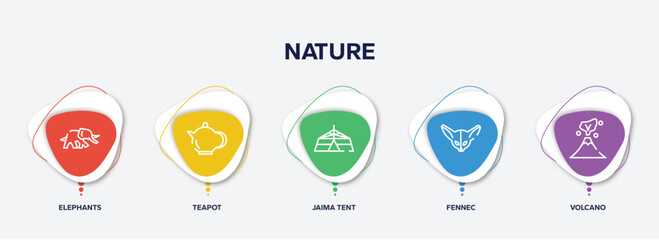 infographic element template with nature outline icons such as elephants, teapot, jaima tent, fennec, volcano vector.