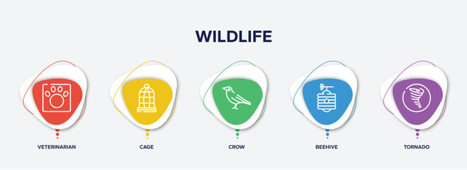 infographic element template with wildlife outline icons such as veterinarian, cage, crow, beehive, tornado vector.