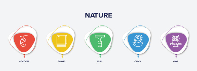 infographic element template with nature outline icons such as cocoon, towel, null, chick, owl vector.