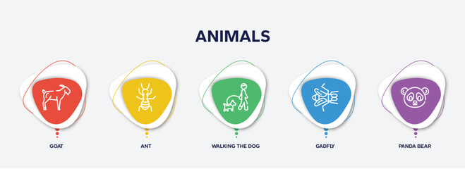 infographic element template with animals outline icons such as goat, ant, walking the dog, gadfly, panda bear vector.