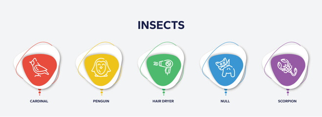 infographic element template with insects outline icons such as cardinal, penguin, hair dryer, null, scorpion vector.