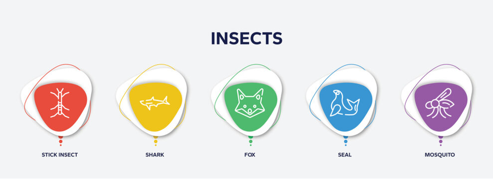 infographic element template with insects outline icons such as stick insect, shark, fox, seal, mosquito vector.